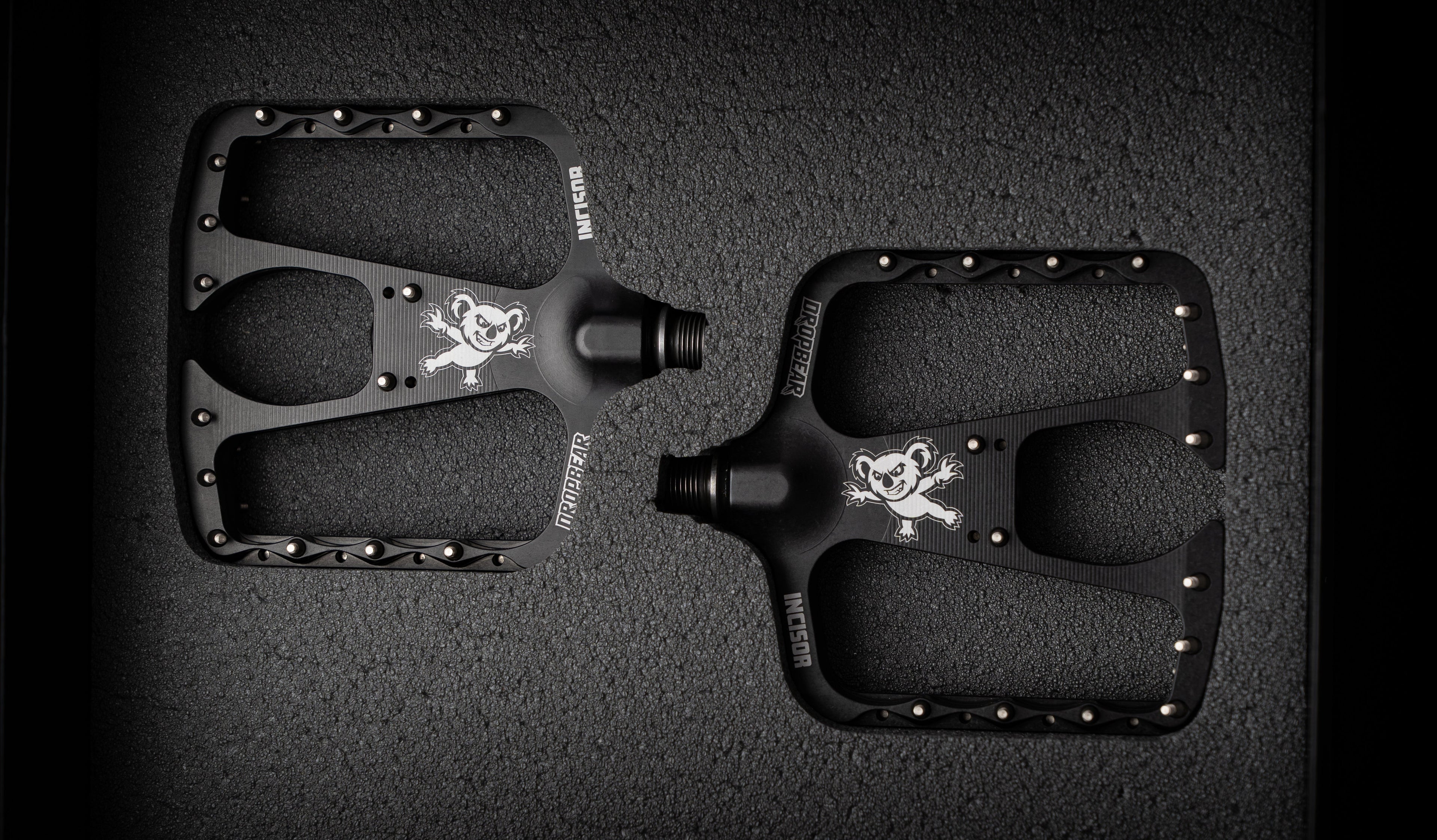 Dropbear Incisor flat pedal pair viewed from above, showing both platforms inside foam inserts