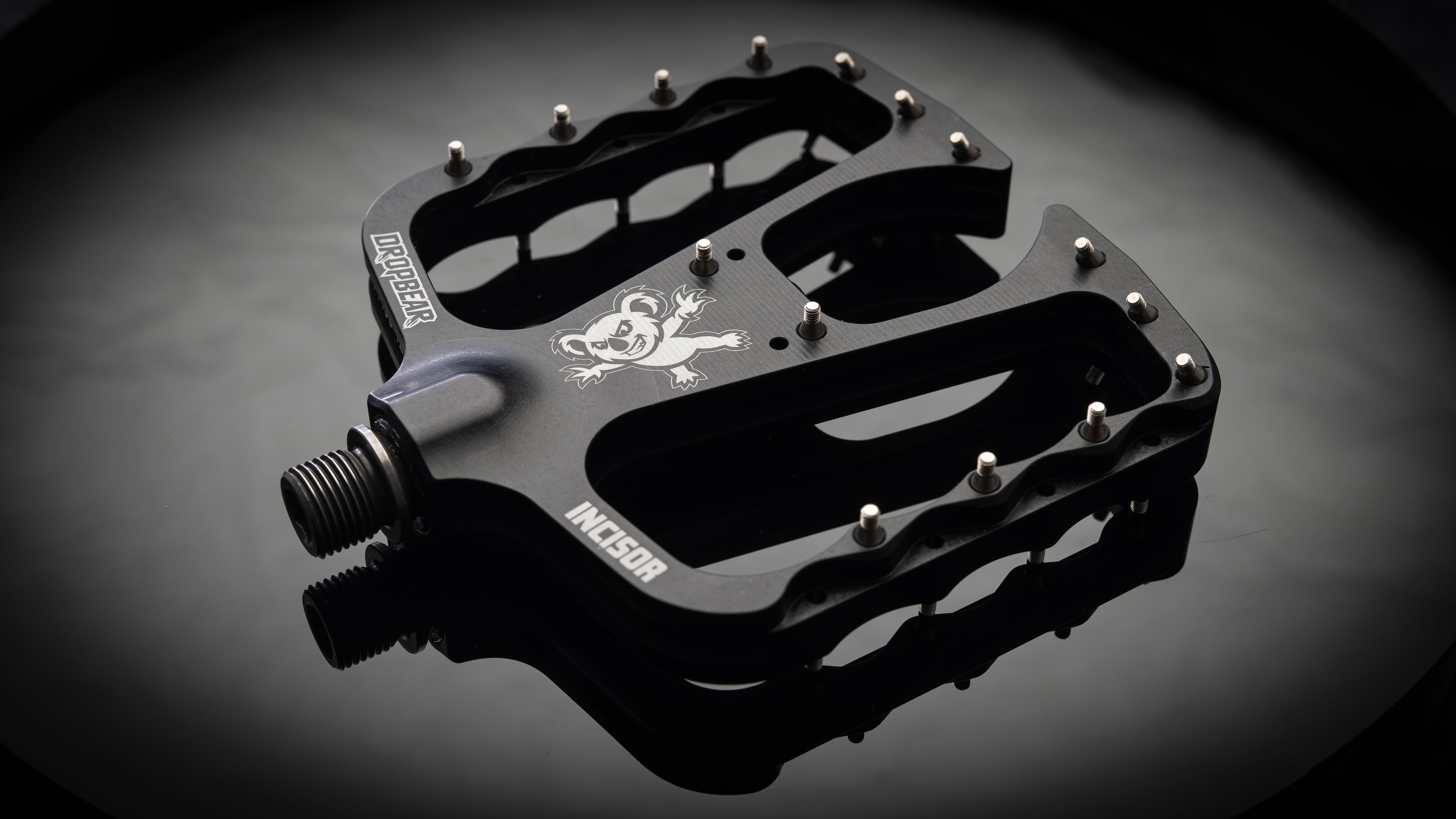 Dropbear Incisor black flat pedal with 30 stainless steel pins and koala logo, product studio shot